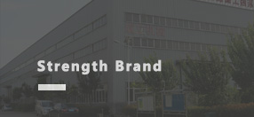 強(qiáng)大實力